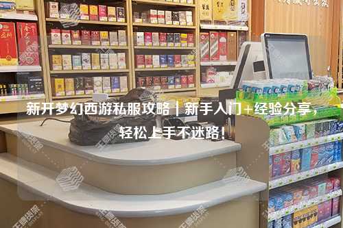新开梦幻西游私服攻略｜新手入门+经验分享，轻松上手不迷路！